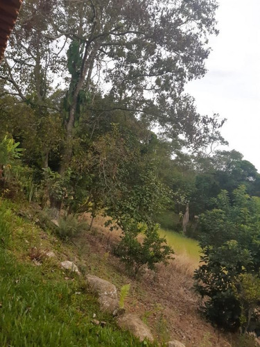 Imagem 13 de 15 de Sítio Para Venda Em Ibiúna, Ibiúna, 2 Dormitórios, 1 Banheiro - 313_2-1181798