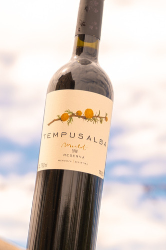Imagen 3 de 6 de Vino Tempus Alba Tempranillo 750 Ml Caja X 6