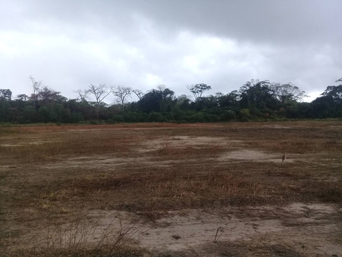 Imagen 1 de 1 de Parcela Ciudad Flamingo Chichiriviche Falcon