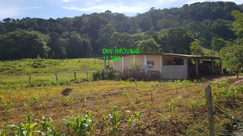 Imagem 18 de 30 de Juquiá/sitio Com Pupunha/ Pasto E 05 Lagos Para Pesqueiro - 04857 - 34121206