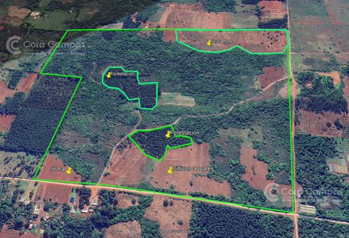 Se Vende Chacra En San Ignacio Misiones. Yerba, Forestación Y Arroyo
