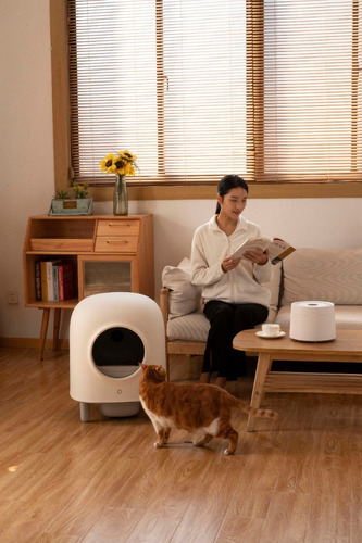 Arenero Robot Automático Para Gatos Petree 2.0 Wifi Color Blanco