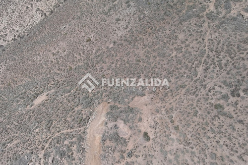22 Parcelas De 5,000 M2 En Venta El Hinojal,valle De Elqui.