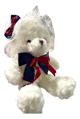  Oso De Peluche  Graduación 30 Cm Envio Gratis 