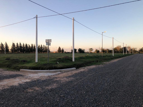 Imagen 4 de 21 de Terreno En Venta En J.gorina | 510y167 | Don Basilio (mza.b-l.14)