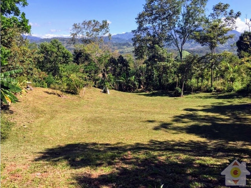 Imagen 5 de 14 de 4527 Mts Finca Con Casa Cel:83184182 / 48.000.000 Millones