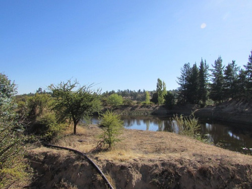 Imagen 5 de 23 de Campo En Cauquenes, Tres Estanques Acumuladores, 97 Has