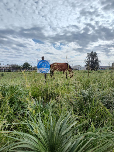 Venta Terreno / Lote Mercedes