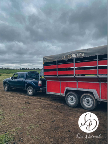 Traslado Equino, Transporte De Caballos.