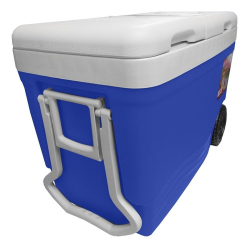 Cava Playera Con Ruedas 55 Litros Ice Roller Decocar.