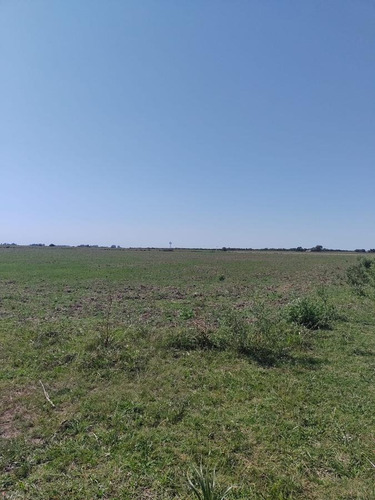 Imagen 7 de 11 de Campo - Talitas Gualeguaychu