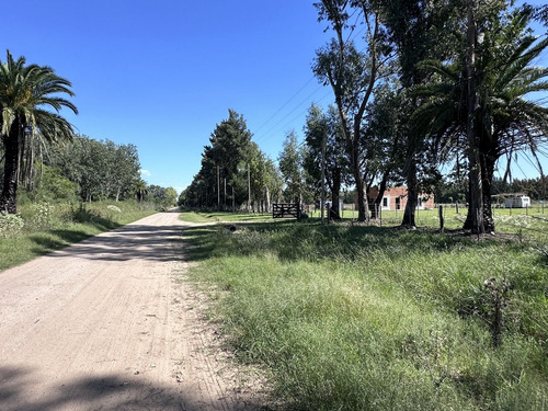 Venta Lote Terreno En Chascomus