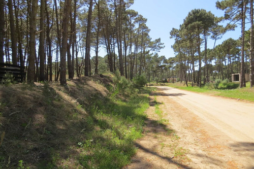 Imagen 2 de 6 de Lote En Venta - Alamos Ii - Av. Fragata Libertad