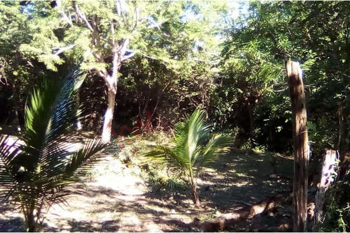 Lote En Venta En Bacalar - Uso De Suelo Mixto - Frente A Carretera Federal 307 - En Esquina - A ...