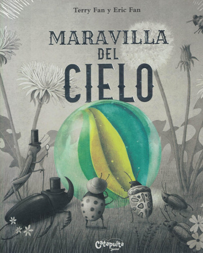 Maravilla Del Cielo               Td