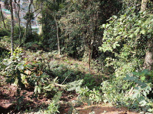 Imagem 4 de 7 de Terreno, Centro, Itapecerica Da Serra - R$ 880.000,00, 0m² - Codigo: 157 - V157