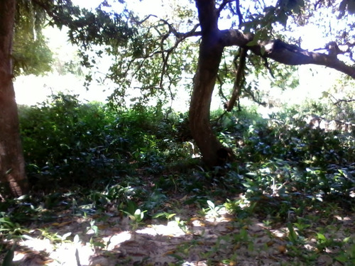 Imagem 2 de 14 de Terreno Medindo 400mts2 Mais 600 De Area De Preservação B.