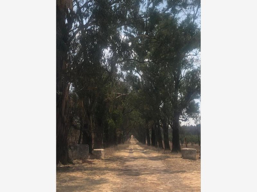 Imagen 11 de 12 de Terreno En Venta ¡¡construye Tu Casa De Descanso En El Pueblo Mágico Huasca En Hidalgo!!