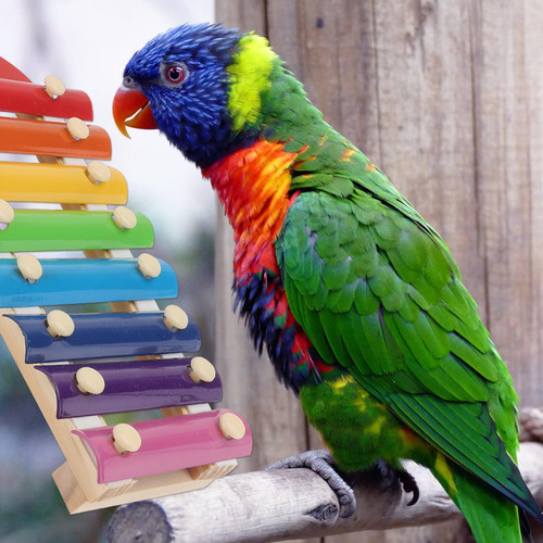 1 Juego De Juguetes Para Masticar Pájaros, Juguetes Para Lor