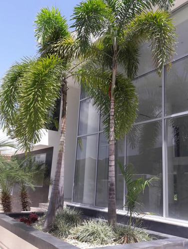Imagen 2 de 14 de Venta Espectacular Casa En El Castaño Maracay