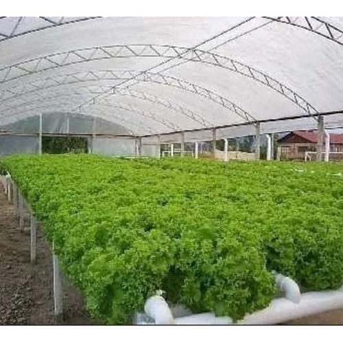 Imagem 2 de 6 de Projeto Horta Orgânica E Hidropônica 3.0 - Envio Imediato