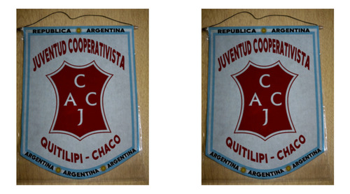 Banderin Grande 40cm Juventud Cooperativista Quitilipi