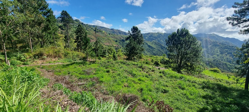 Gran Lote De Terreno En Urbanización Cerrada