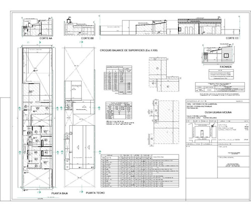 Imagen 5 de 9 de Arquitectura-diseño Interior-planos Municipales