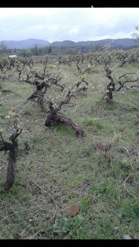 Sitio En Venta En San Javier
