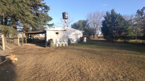Imagen 7 de 20 de En Venta!!! Casa Quinta Frente A Rn 188, Km 153. (junín - Ba)