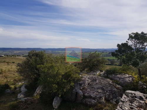 Campo Pueblo Edén 42.5 Hectáreas Con Casa