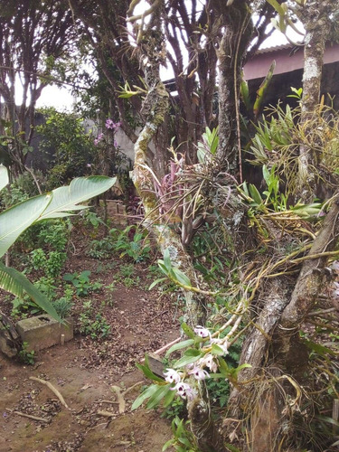 Imagem 19 de 26 de Casa À Venda Com 03 Dormitórios Em Terra Preta - Mairiporã Sp - 102 - 34968603