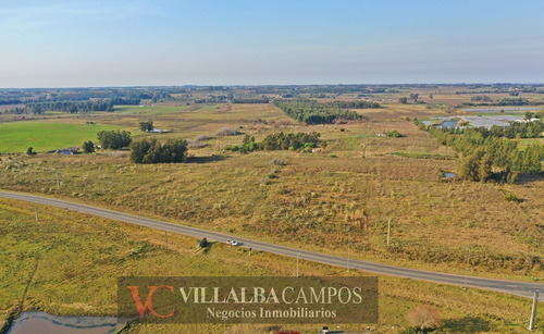 Imagen 3 de 4 de Villalba Campos Vende 5 Has Sobre Ruta 67