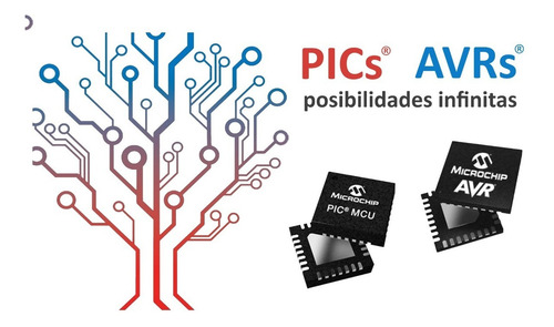 Programador Pic Avr Dspic Eeprom Usb Pickit2 Mejorado Mprog