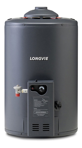 Termotanque Longvie T350ar-n Potenciado - 48 Lts-rec 300 L/h