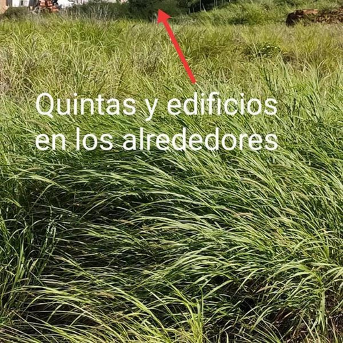 Imagen 5 de 7 de Parcelas De Terreno En Playa Moreno