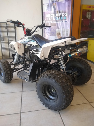 Imagen 9 de 16 de Zanella Fx 250 Mad Max $111.650 X 12 Cuotas