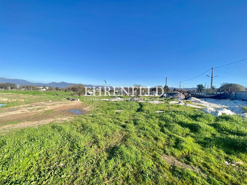 Parcela 5.000 Mt2, Los Laureles. Limache.