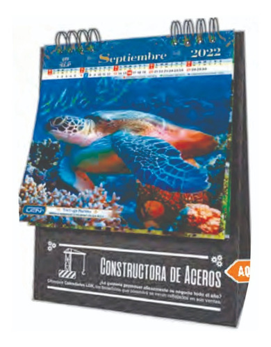 100 Calendarios 2024 Escritorio Personalizados Serie Evn Len