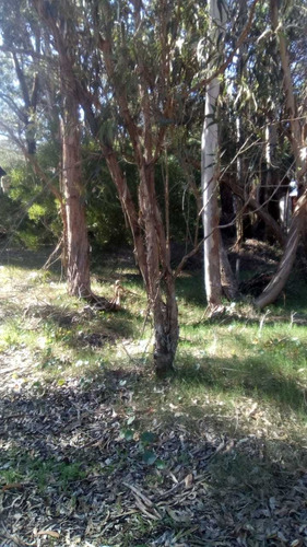 Hermoso Lote!! En La Esmeralda, Rocha, Uruguay 