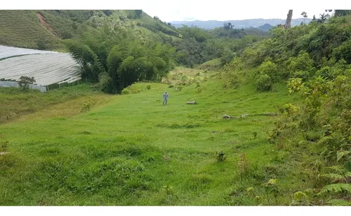 Venta Lote Vereda La Primavera El Peñol(mls#243148)