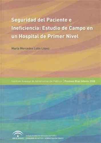 Seguridad Del Paciente E Ineficiencia Estudio Campo Hospital