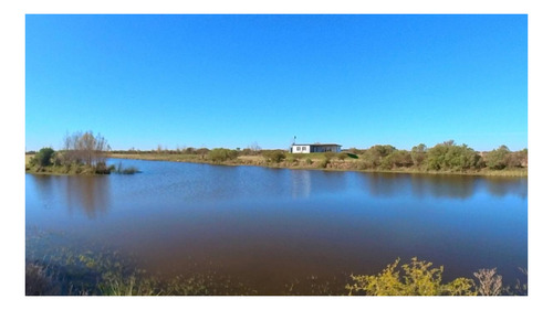 Imagen 10 de 27 de Casa Conteiner A Estrenar De 3 Ambientes Sobre Lote De 3.110 M2 Con 69 Mts De Costa Al Lago