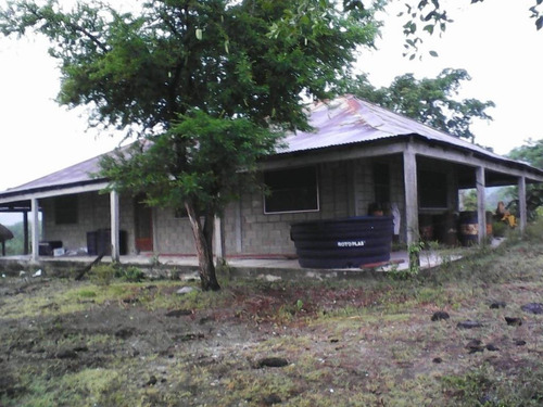 Imagen 3 de 11 de Venta De Rancho En Ciudad Valles, San Luis Posoti
