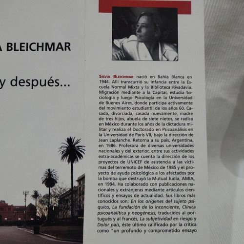 Imagen 8 de 10 de Dolor País Y Despues Silvia Bleichmar Zorzal