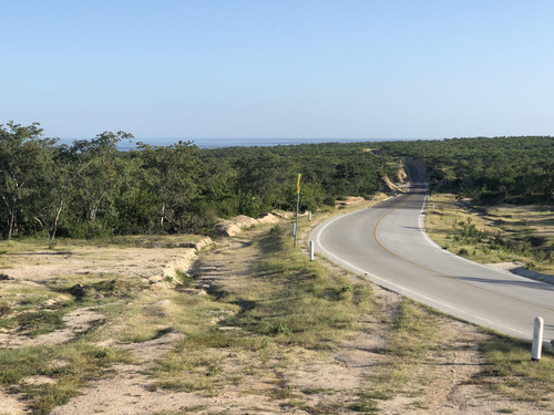 Zacaton Playa Tortuga, Zacaton Developer Land
