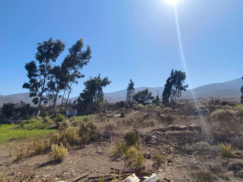 Vive En Este Lindo Lugar (74409)
