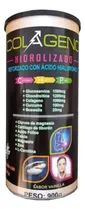 Comprar Colágeno Hidrolizado + Ácido Hialurónico En Polvo Sin Gluten