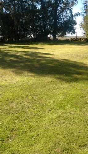 Imagen 1 de 17 de Propiedades Rurales Agricola - Venta