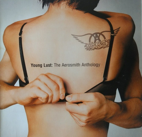 2x Cd Young Lust The Aerosmith Anthology 1a Ed Br 2001 Duplo